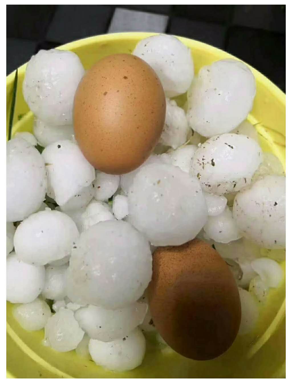 甘(gan)肅發生冰雹災害(hài)