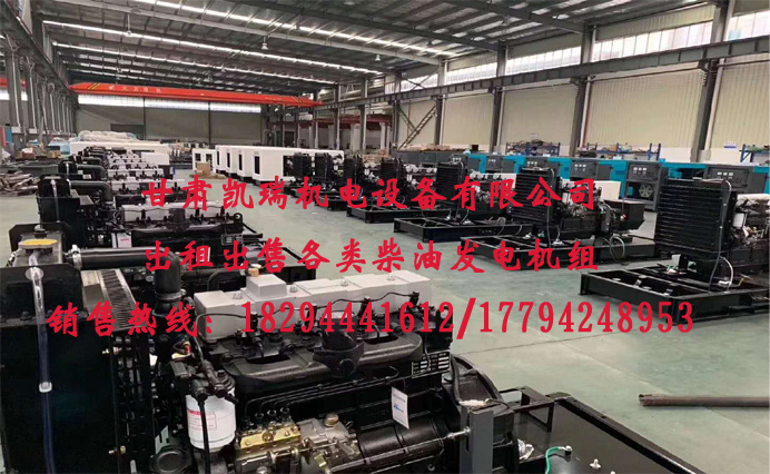 甘肅玉柴柴油(yóu)發電機組廠家