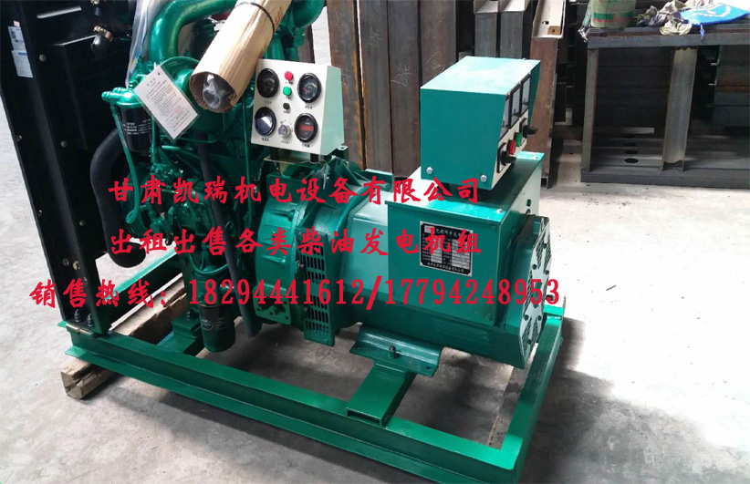 蘭(lan)州發電機組(zu)廠家